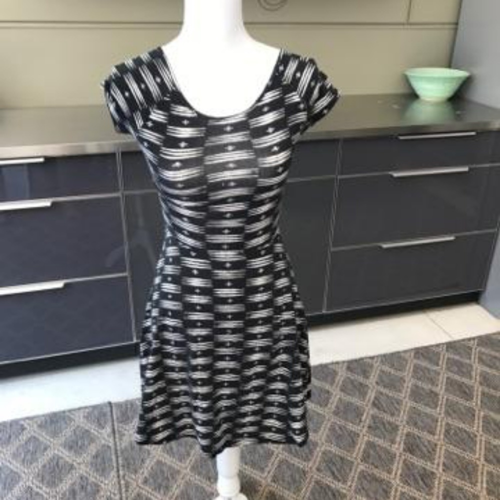 Black and blue skater dress